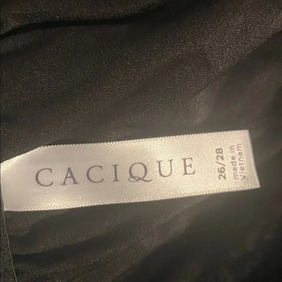 Cacique collection lingerie size 26/28 NWT - Picture 8 of 12